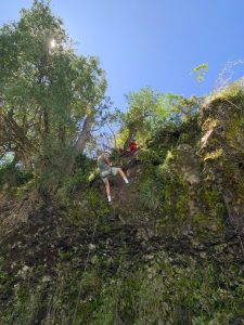 Imagen de WhatsApp 2025-08-01 a las 16.56.46_95182197